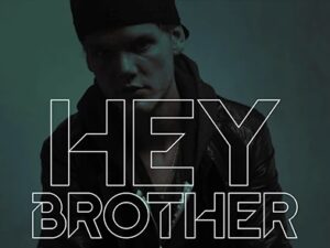 Hey Brother - Avicii
